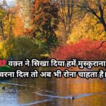 हिंदी शायरी संग्रह