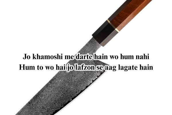 do line shayari hindi​