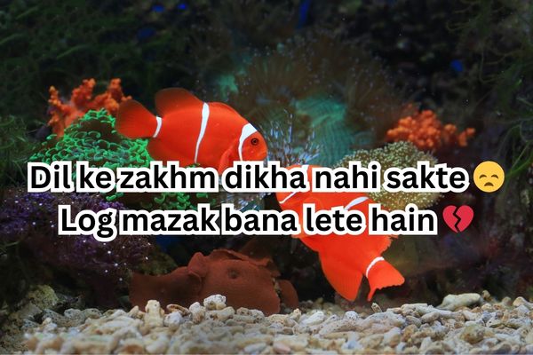 sad shayari