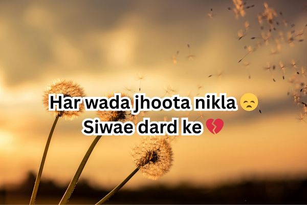 4 line heart broken shayari