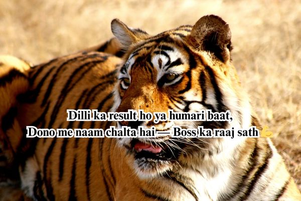 satta king up​ badmashi shyari