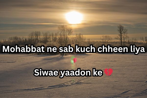 
2 line sad shayari in english