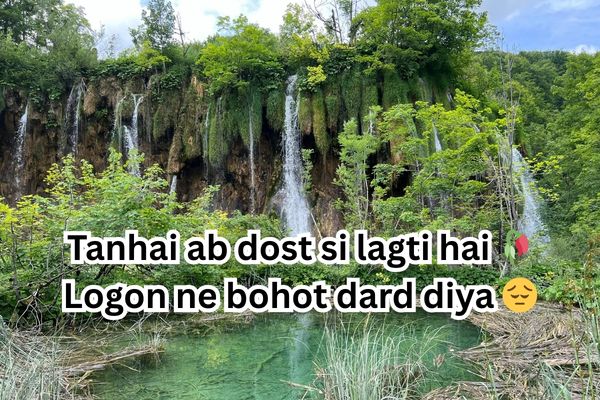 2 line sad shayari in english love