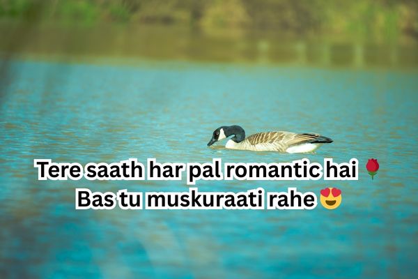 flirt shayari in hindi for girl