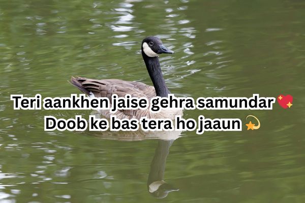 funny flirting shayari in hindi