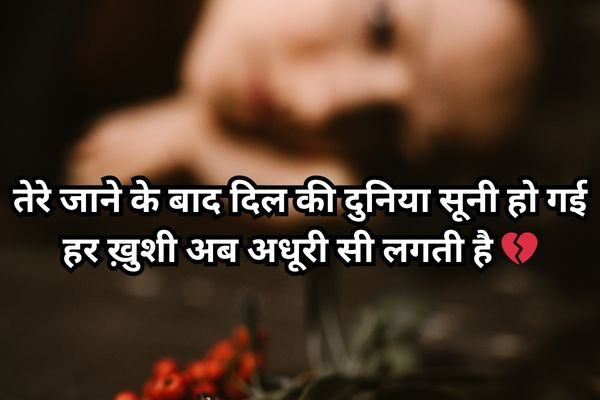 what is love in Hindi shayari