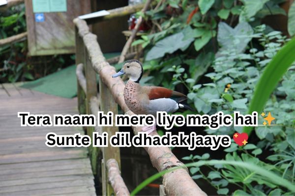 flirting shayari for him