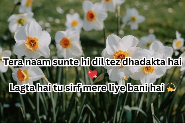 flirting shayari for crush