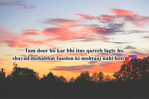 rajdhani chart shayari
