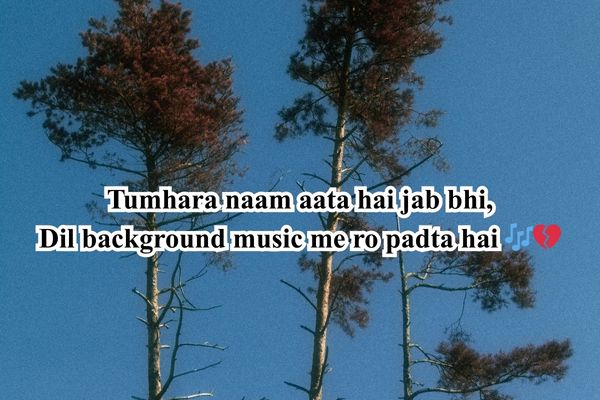 beautiful shayari 