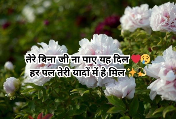 black satta king gulzar shayari on love in Hindi